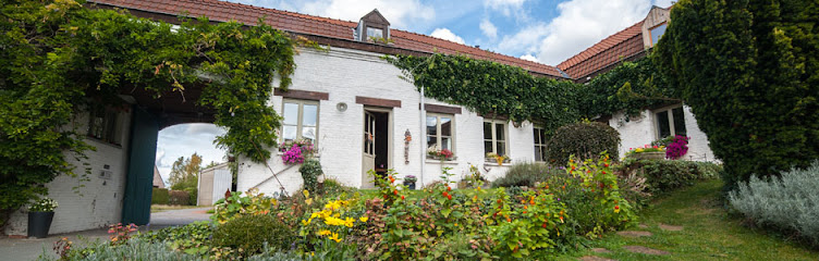 Photo L'Atterrissage