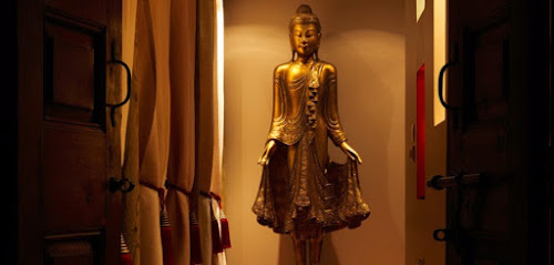 Photo Spa Arbre à Sens Paris