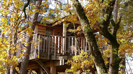 Photo La Cachette - Hébergements insolites - Cabanes perchées - Pyramide - Roulotte - Gîte - Spa