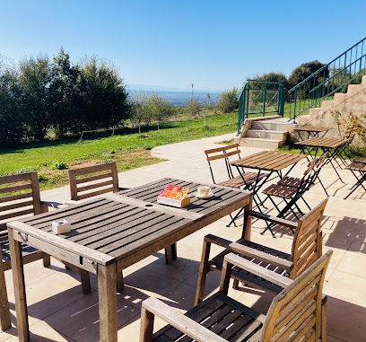 Photo Domaine De Campras