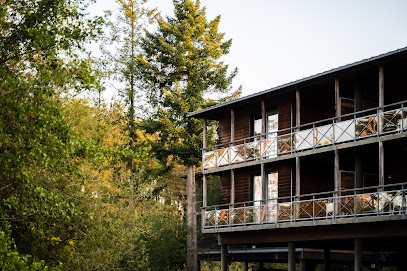 Photo Domaine de Cicé-Blossac