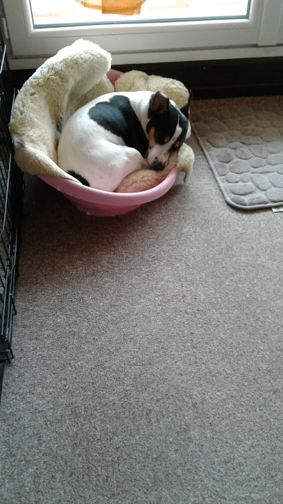 Photo MTC & Shiatsu – Caroline Hemonnot