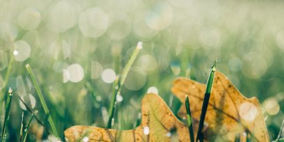 Photo GreenEvent - Le bien être en entreprise