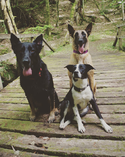 Photo Refuge SPA de BRIVE LA GAILLARDE