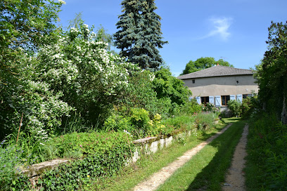 Photo terre de rêve