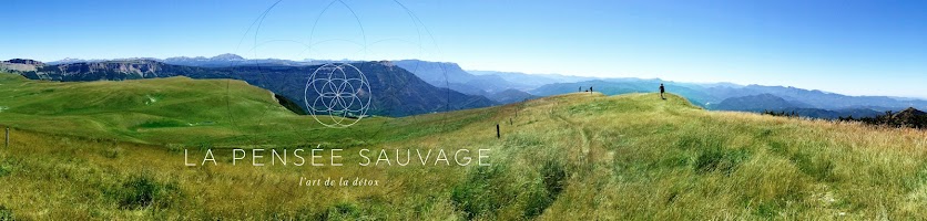 Photo La Pensée Sauvage