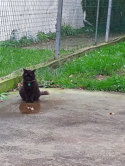 Photo Société Protectrice des Animaux de Bordeaux et Sud Ouest