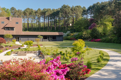 Photo Hôtel Spa Les Pins de César